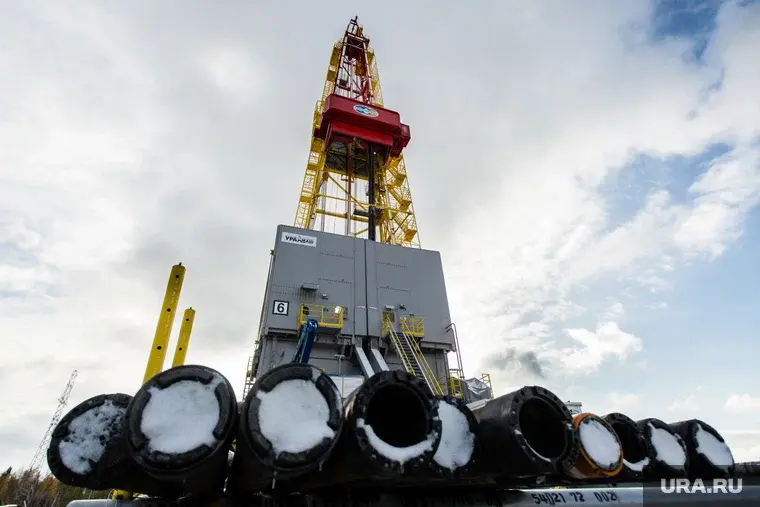 Возле нефтепровода «Дружба» нашли взрывное устройство