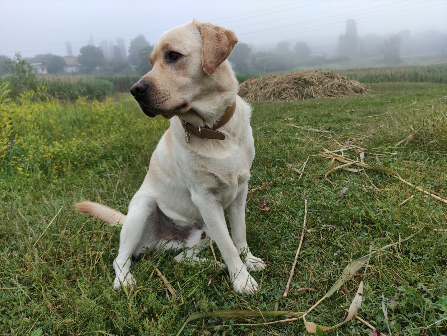 Профессиональные снимки на обычный смартфон за 20 тысяч рублей - реально?