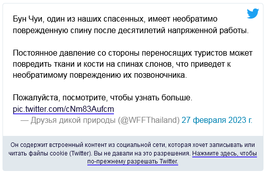 Вот что делают годы туристических поездок на спине слона