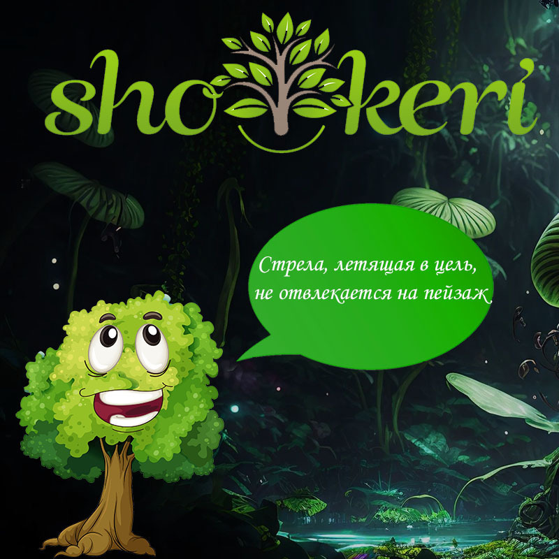 Более 20 бесценных вещей, которые нельзя купить за деньги