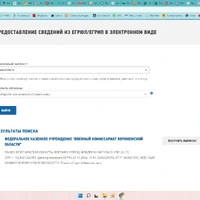 Действующий орган.jpg