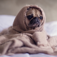 Аlen55, г. Тюмень