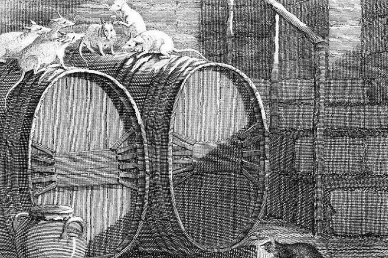 Каково Было Жить В Средневековом Замке