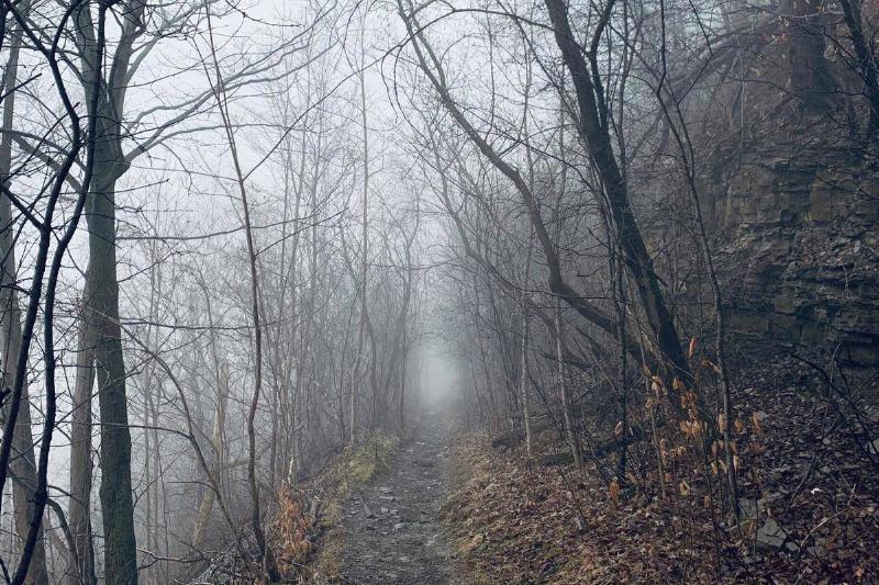 Фотография женщины стала вирусной из-за чего-то скрытого на заднем плане