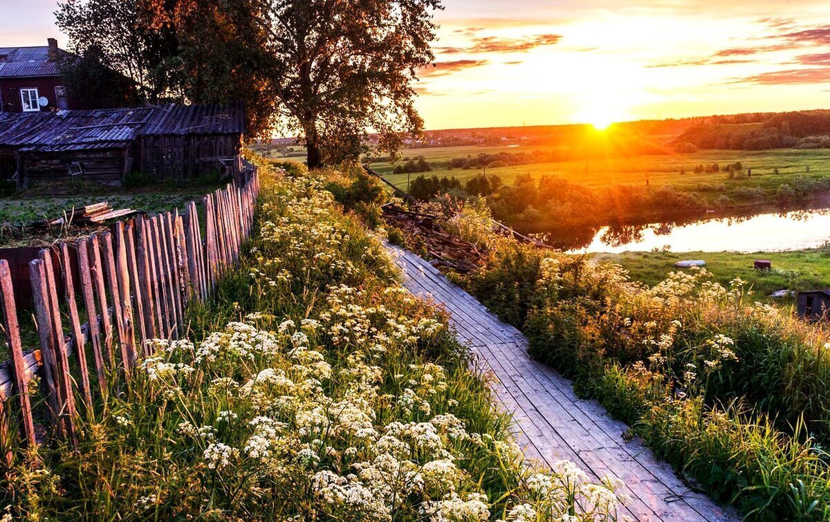 Тоннель судьбы. Лелька. 11.