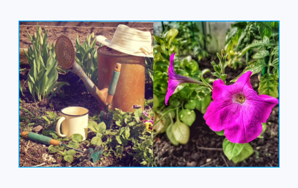 Дача. Подготовка грядок к посадке. Как правильно подготовить грядки, чтобы получить хороший урожай?