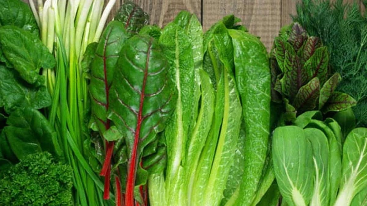 Улучшите свое пищеварение с помощью этих 6 продуктов, богатых питательными веществами