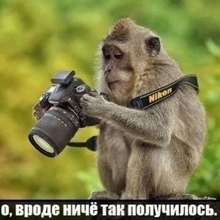 Жаров Александр Алексеевич, г. Печора