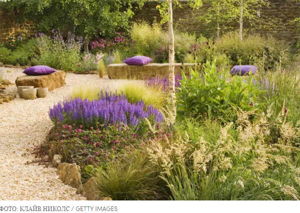 Это главные тенденции в садоводстве на 2023 год Вот что все будут сажать этой весной.