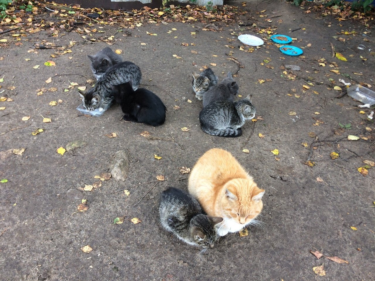 Нестандартные судебные решения