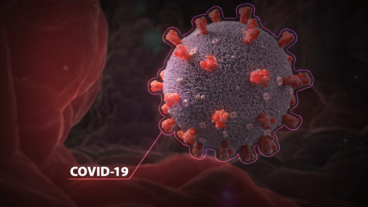 Бедность в России достигла пика в 2023 году: Как россияне пережили пандемию COVID-19 и санкции Запада. Путин поручил побороть бедность в 2023 году