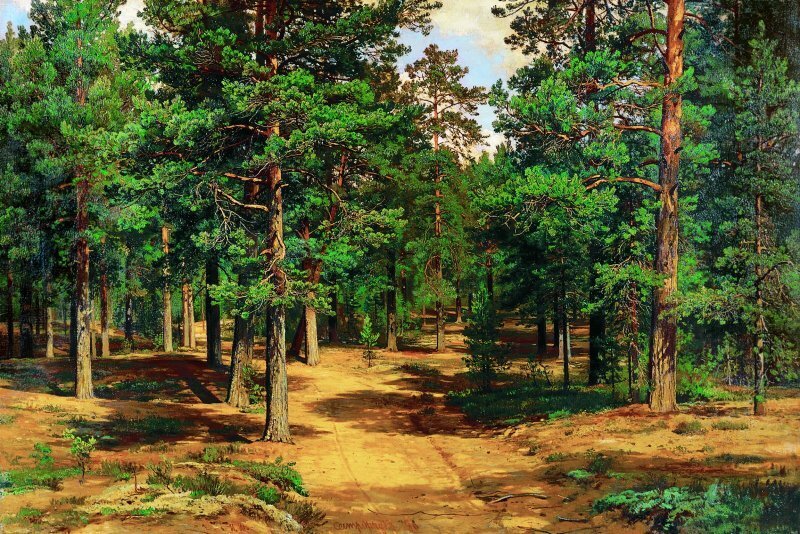 Русский лес в картинах художников. Несколько работ одних из самых известных пейзажистов русской живописи.