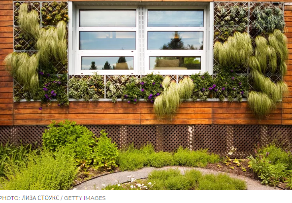 Тренды, которые стоит попробовать на своем заднем дворе в этом году. Максимализм