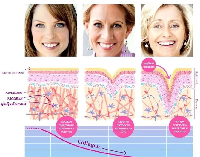 🧬Что такое коллаген? Для чего коллаген организму? Нужно ли пить коллаген для кожи и суставов?💊🔬