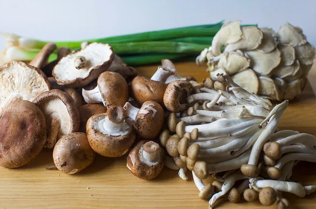 Галет из диких грибов и стильтона