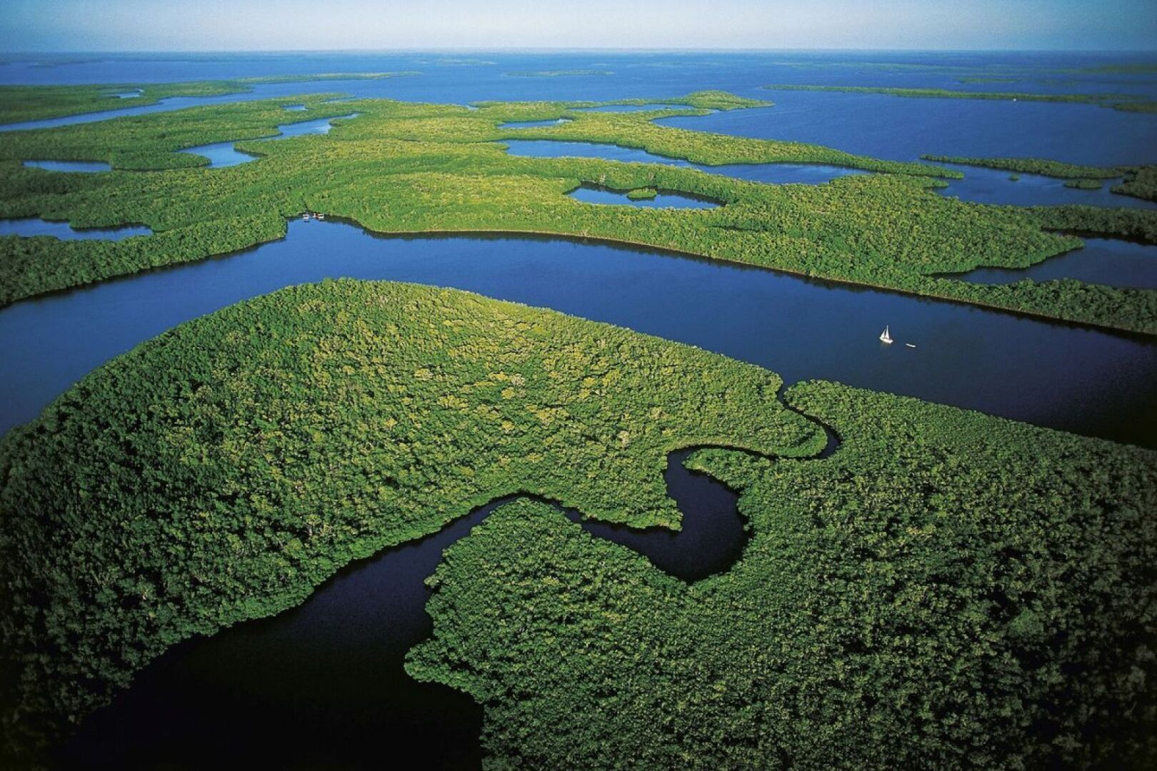 Самая длинная река в мире амазонка