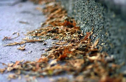 Зимний суп из кабачков с гренками грюйер