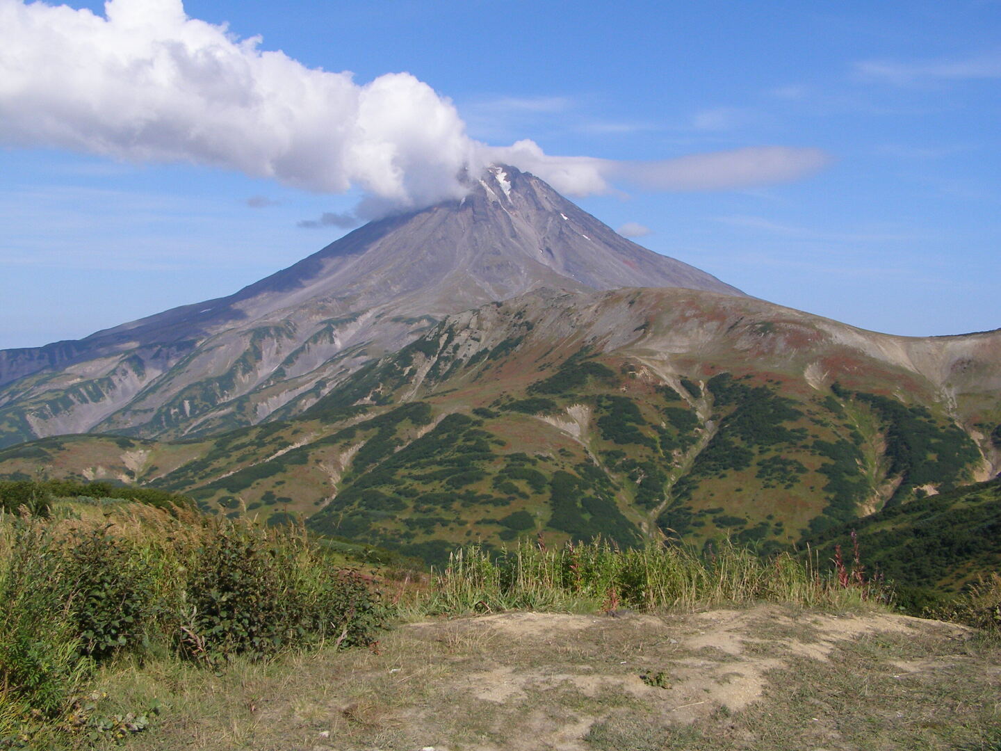 Камчатка рулит и рычит