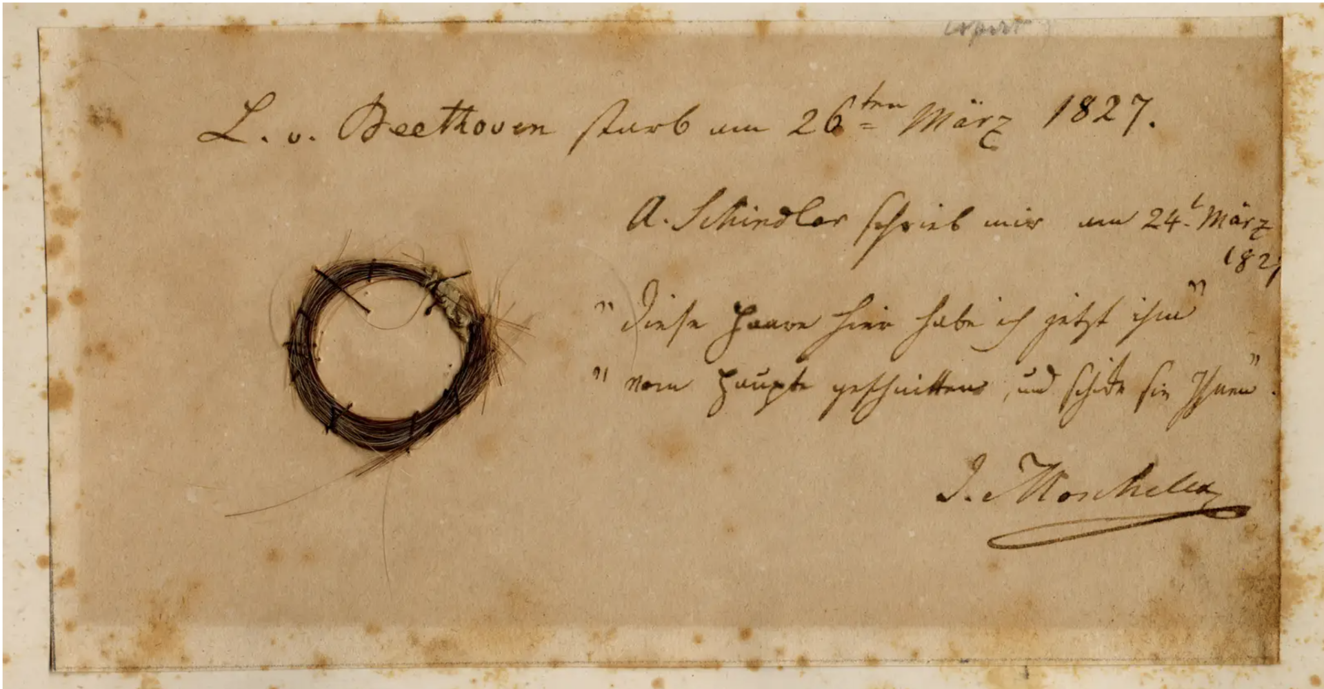 Геном Бетховена раскрывает тайны его плохого здоровья и ранней смерти