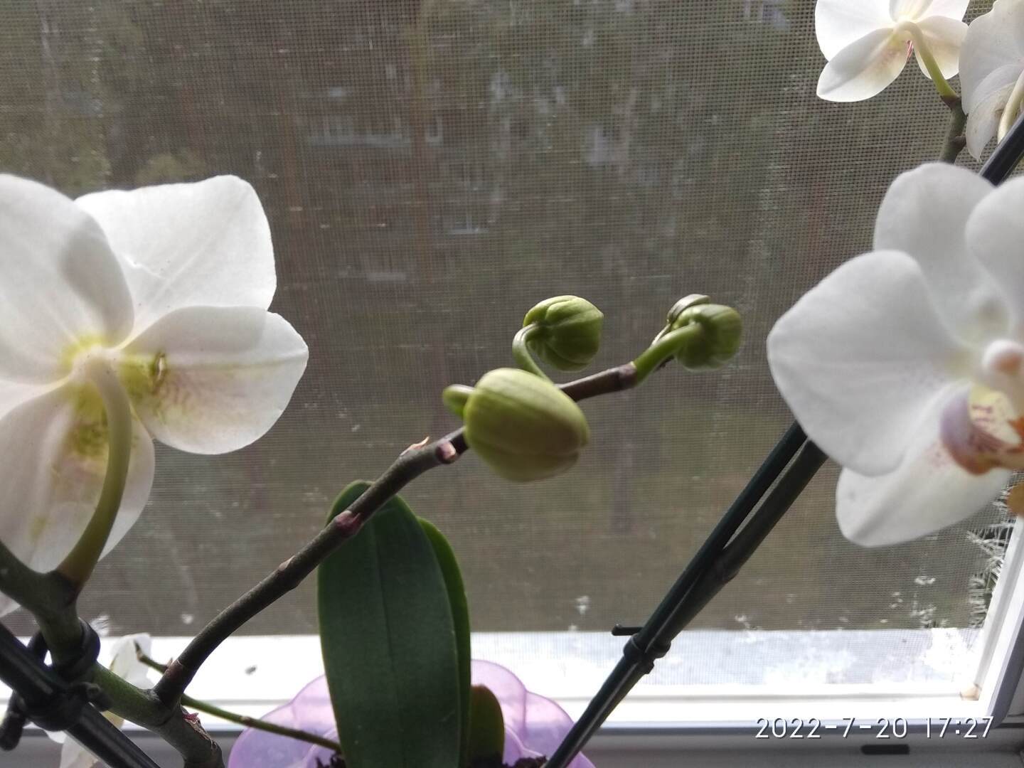 Дорога длиннее жизни