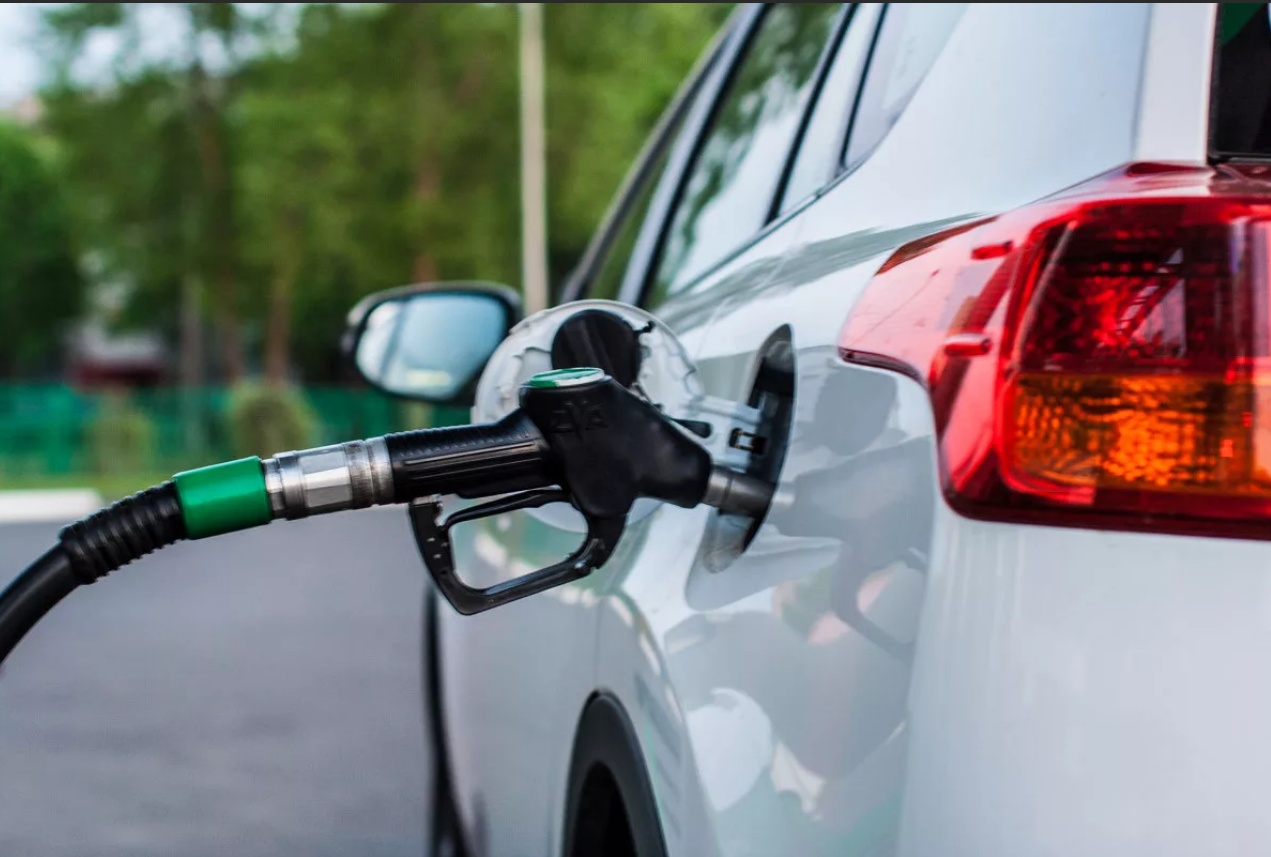 Насколько Вы честны?