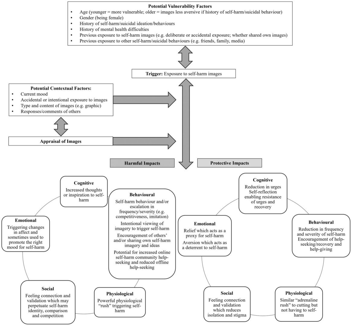 Исследование показывает, что просмотр изображений членовредительства в Интернете и социальных сетях обычно причиняет вред