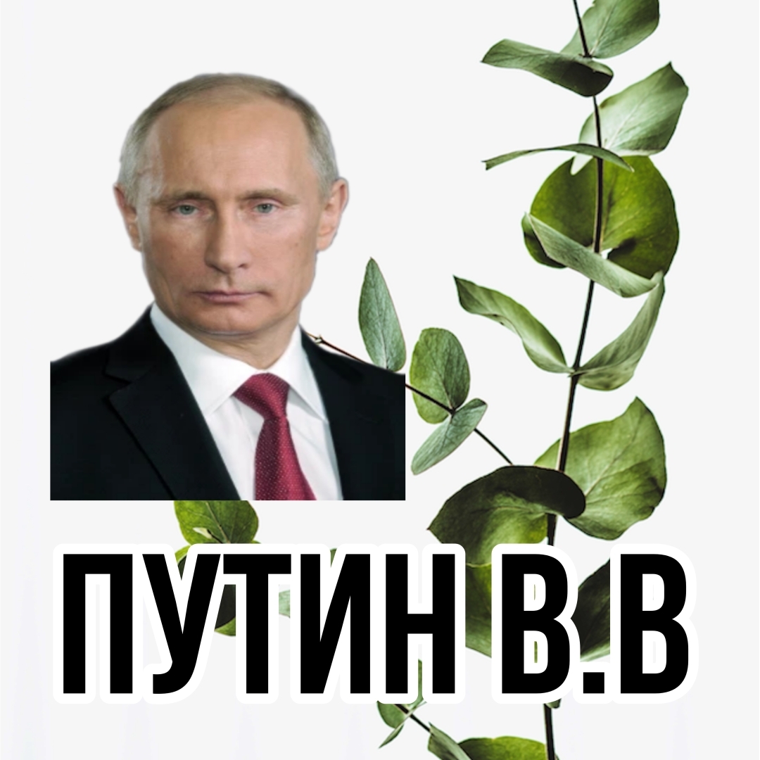 "Достижения Правления Путина: стабильность, обороноспособность, социальные программы и внешнеполитические успехи"