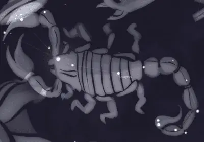 Происхождение И Мифы О Скорпионе