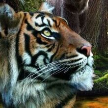 Алексей, г. Находка