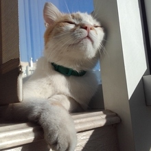 Vist, г. Кишинёв