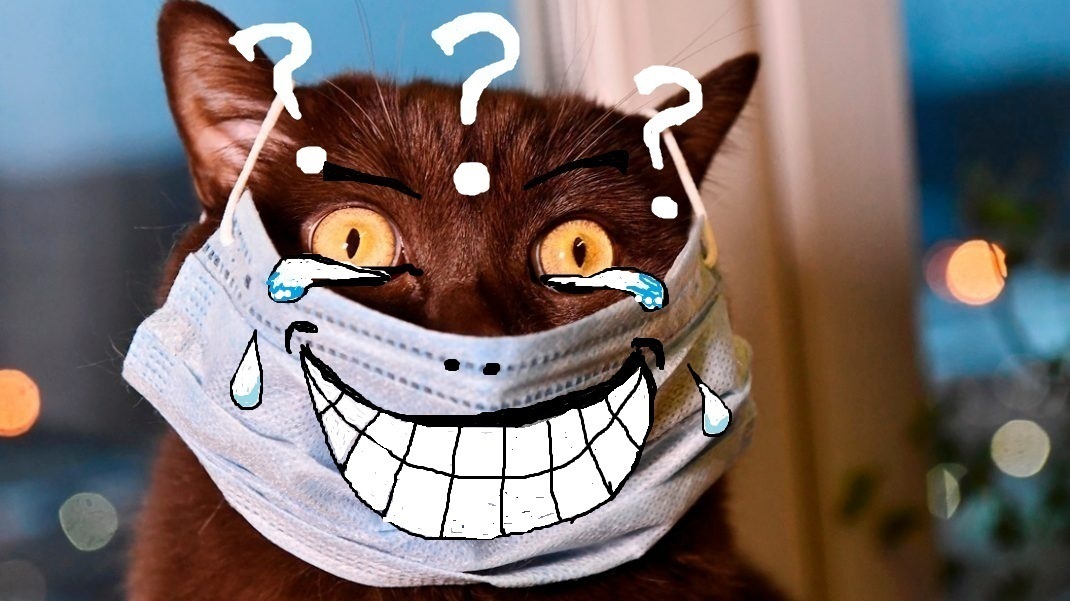 Приятного аппетита ,или чечевичный суп для Гарпии.