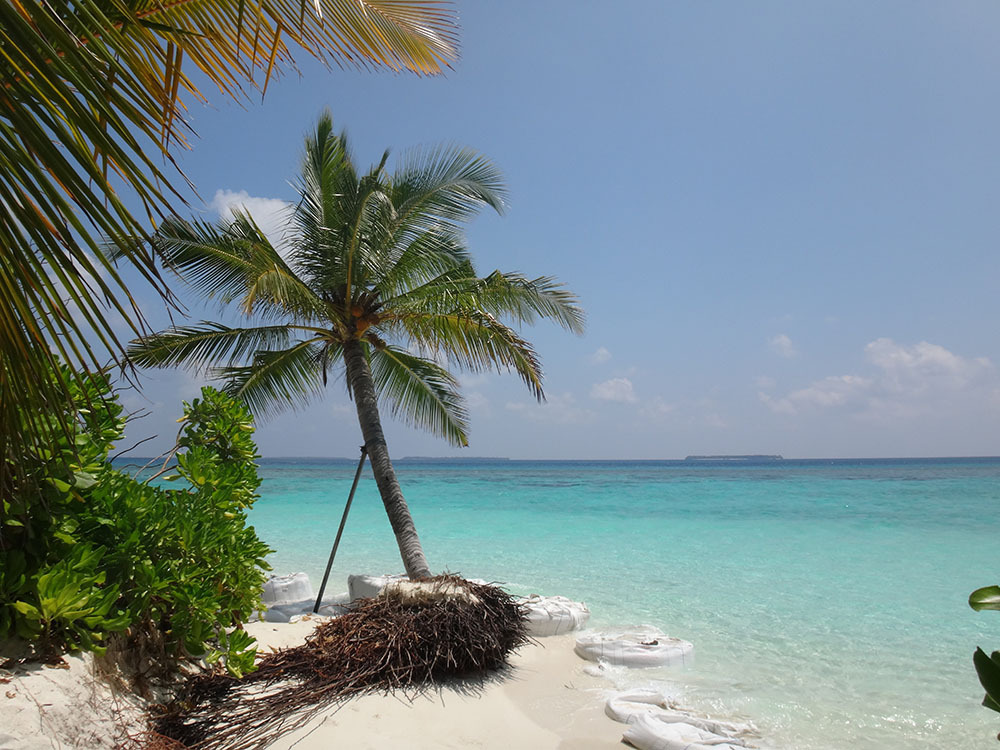 Тайны Индийского океана