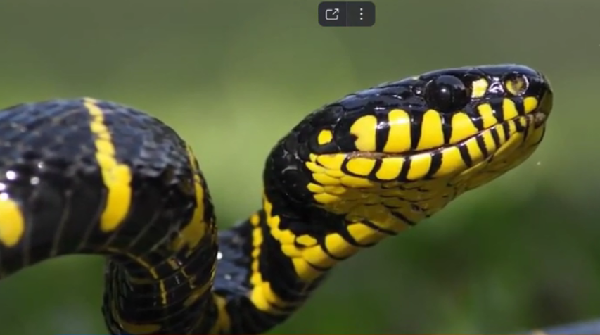 Российский пранкер взорвал не только всемирную паутину интернета, но и весь учёный бомонт своим розыгрышем. Или что можно сделать с помощью нейросетью