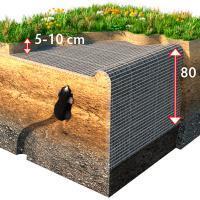 Как избавиться от кротов на дачном участке?