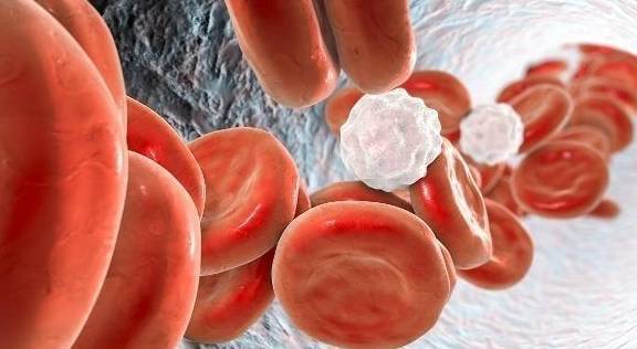 Тромбоз “больше всего боится” этого действия. Если вы сможете упорствовать в течение 20 секунд в день, ваши кровеносные сосуды могут "переродиться”.