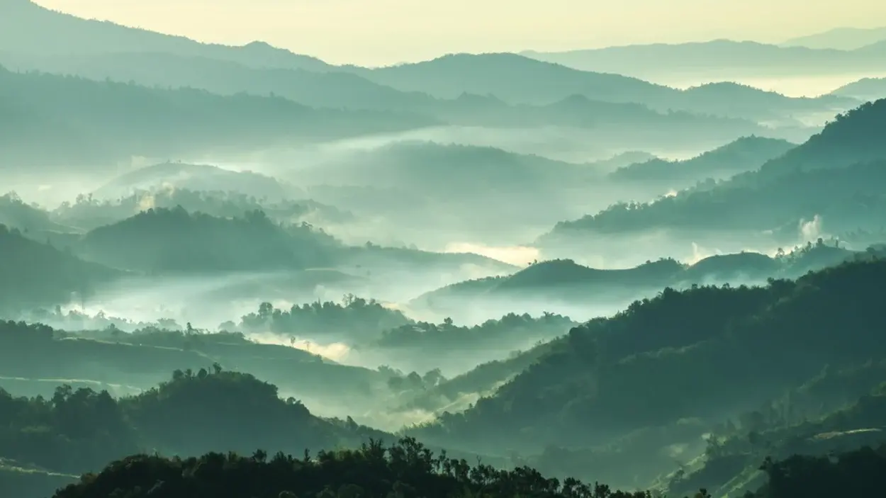 Секретное оружие в борьбе с изменением климата