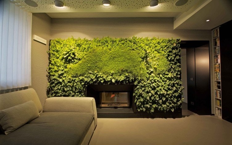 Как вырастить хвойники для вертикального озеленения интерьера