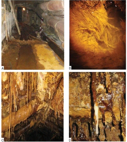 Интересная новость: Обнаружены "инопланетные" формы жизни в заброшенной урановой шахте в Германии"