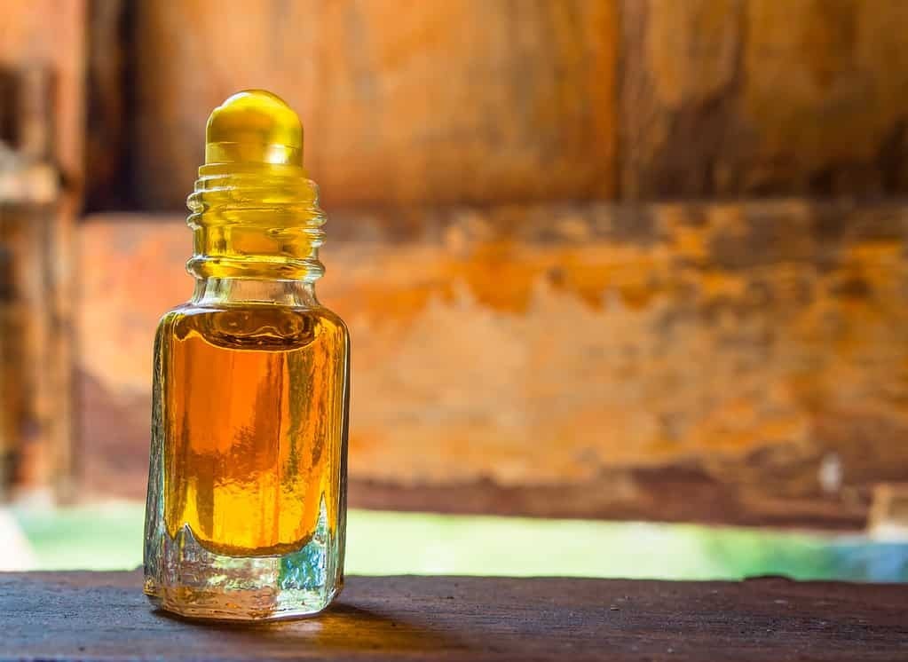 Как избавиться от комаров в доме.