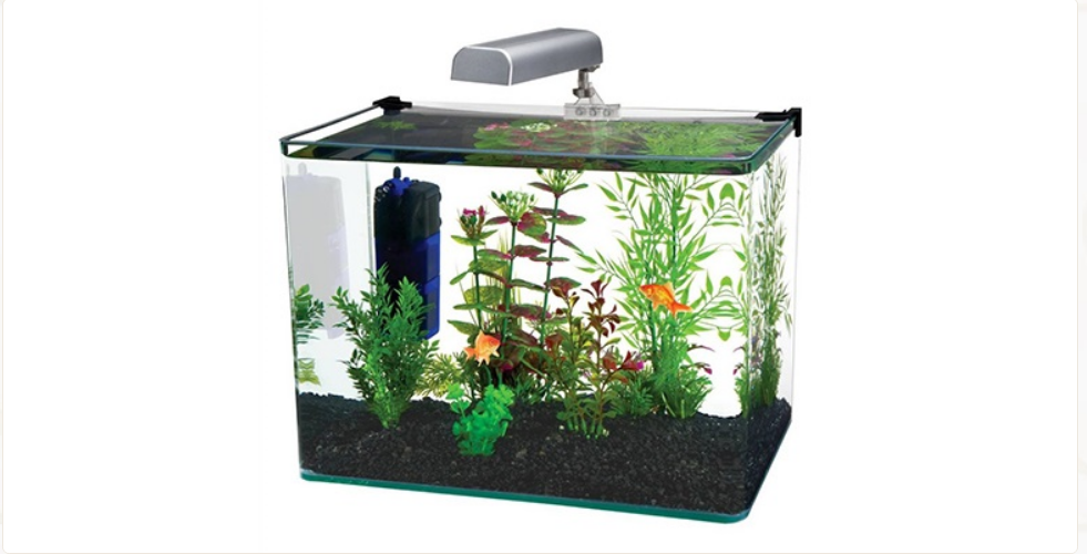 Аквариум. одни плюсы.