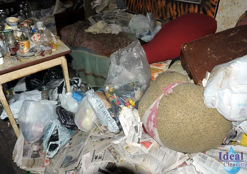 Как одна семья превратила свое жилье в полигон мусора и бытовых отходов