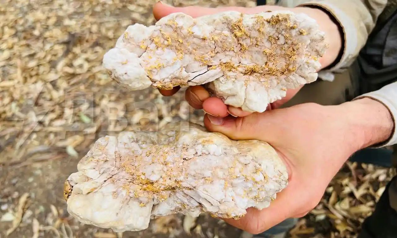 Золотой самородок весом 4,6 кг нашли в Австралии, стоимость находки оценивается в 240 тыс. долларов