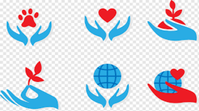 Раскрывая секреты успеха: пошаговое руководство по построению богатства.