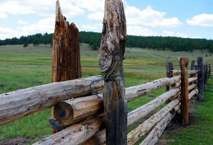 По какой цене нужно продать участки, чтобы не платить налог, если владел или меньше 5 лет?