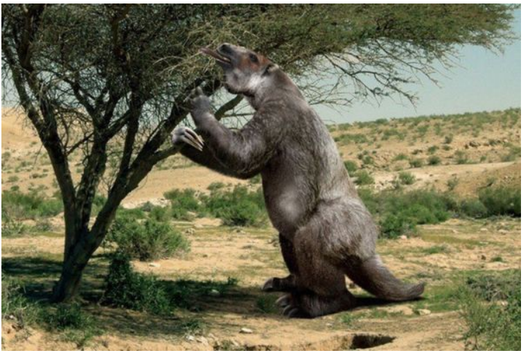 Гигантские ленивцы