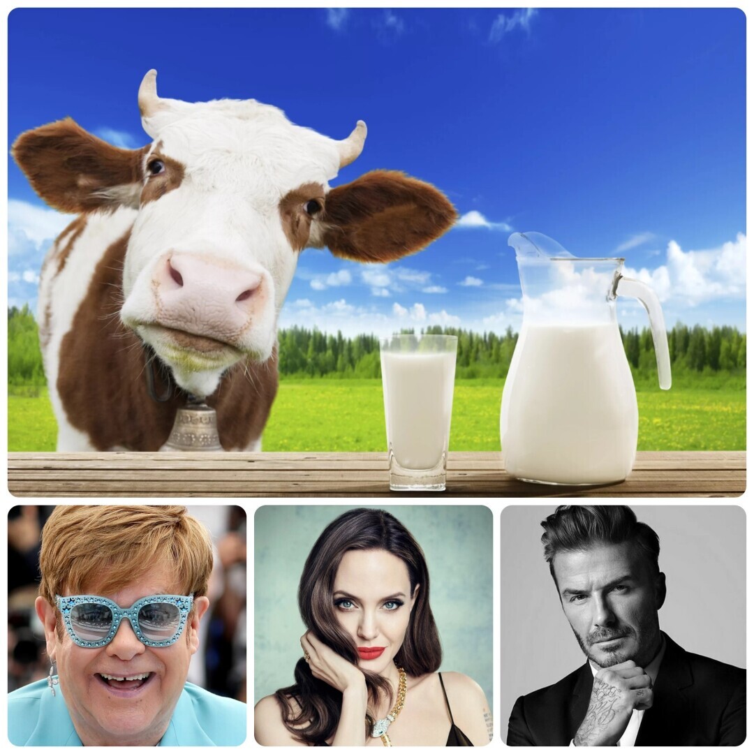 Смертельная угроза от молока или все же польза?