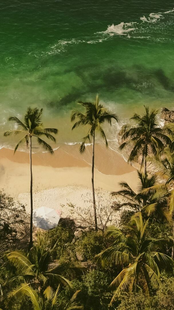 Голова одна, а мыслей много — за всеми не уследишь