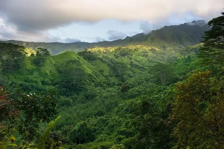 Гаваи, лучшие походы через тропические леса, вулканы и секретные пляжи.