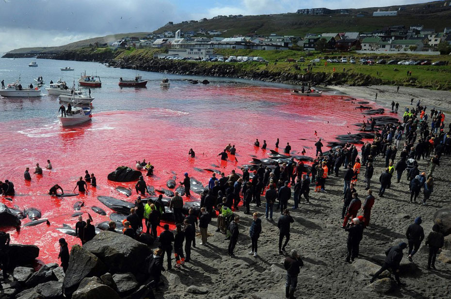 Россия на 77 месте в мире по уровню процветания: куда еще ниже?