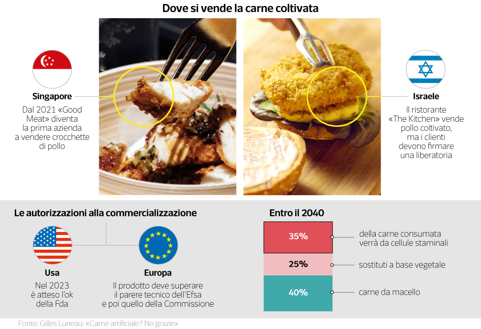 А ты уже ел шашлык из искусственного мяса?